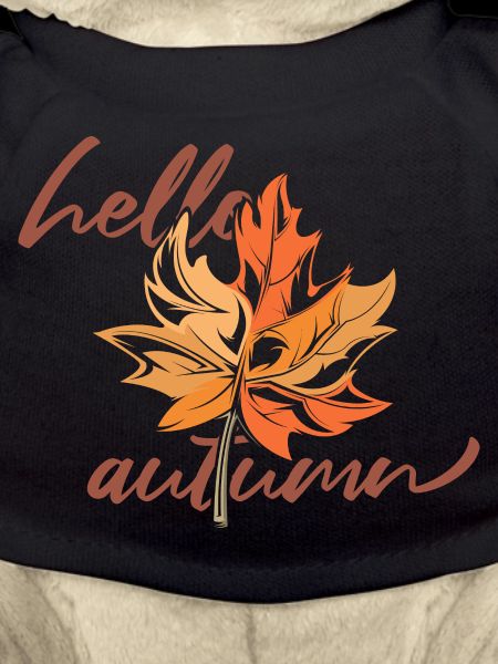 Maple leaf Mapleleaf Automne Automne