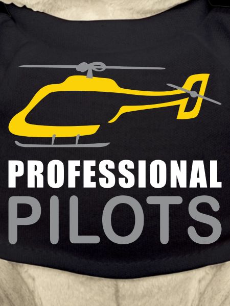 Hubschrauberlogo: Profipiloten