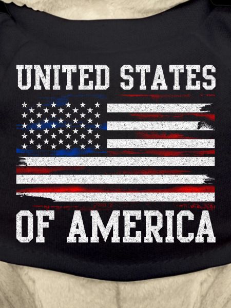 Distressed United States Flag