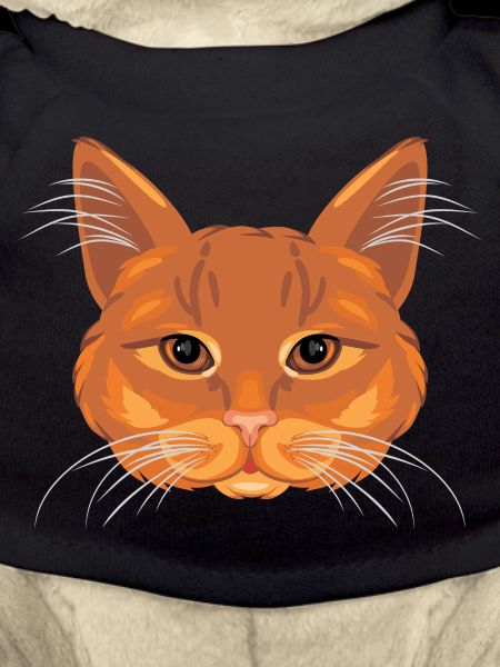 Ingwer Katzenkopf