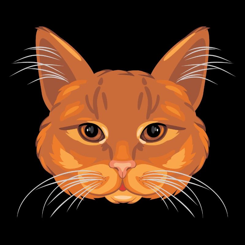 Tête de chat au gingembre