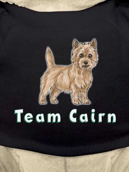 Team Cairn