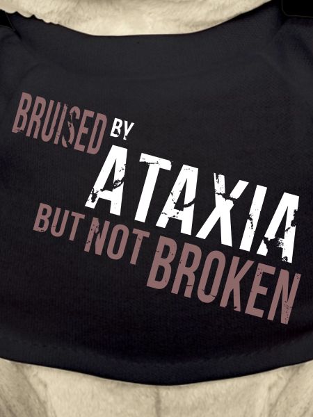 Bruised Not Broken