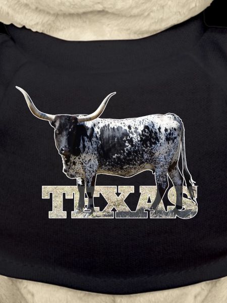 Texas Longhorns