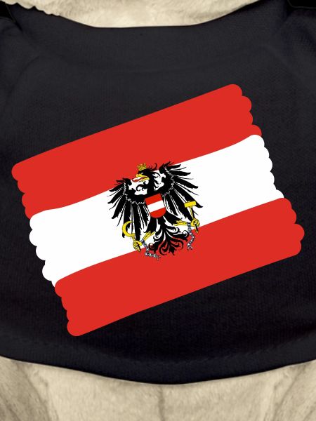Austria Flag