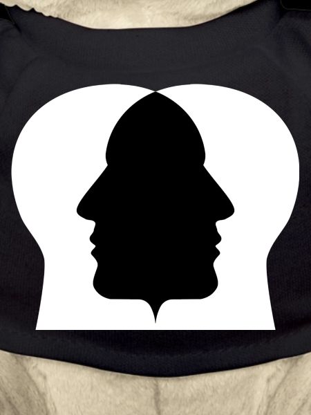 Double profile silhouette