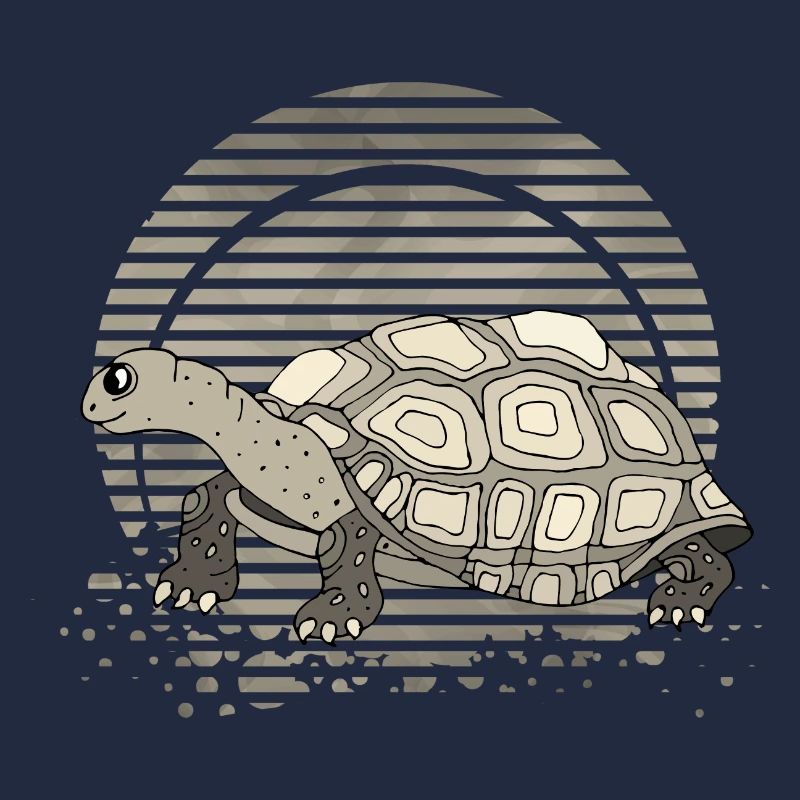 Tortoise