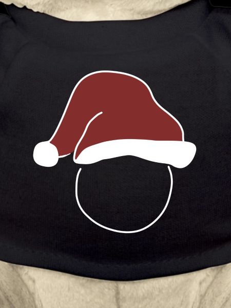 Christmas Christmas Hat