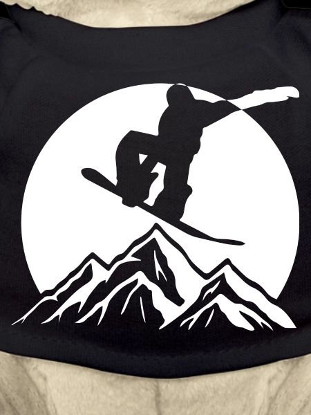 Snowboard Snowboarder