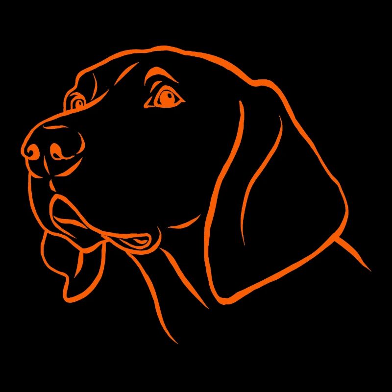 Weimaraner Portrait en orange