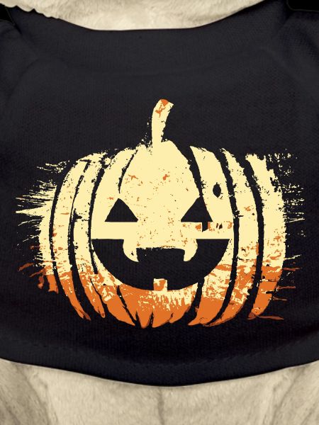 Halloween Pumpkin Head