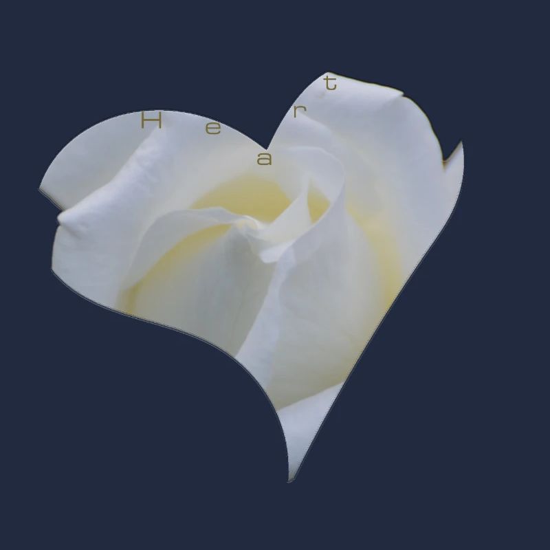 White Rose Heart