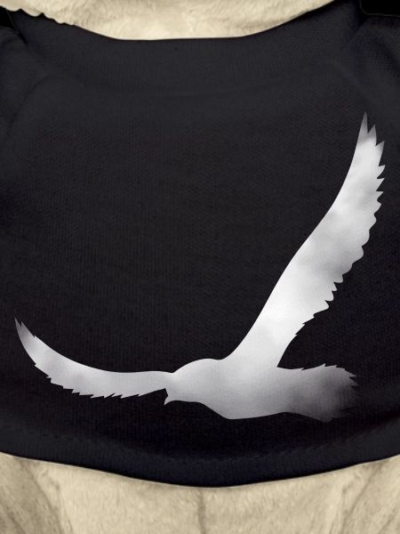 Bird silhouette from cloud