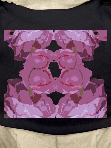 Pink Rose Square