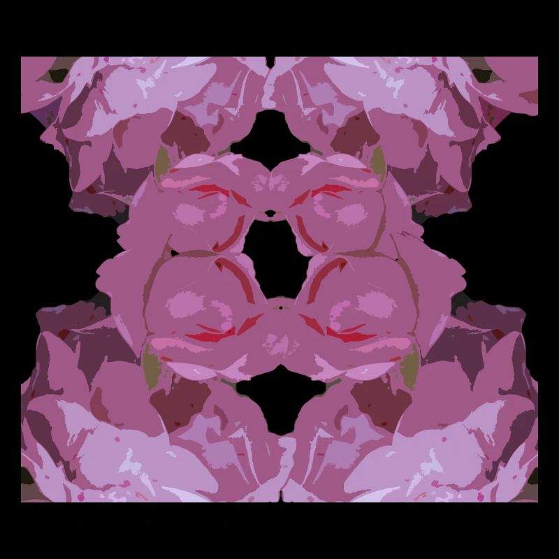 rosa rose viereck