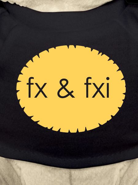 fix foxi