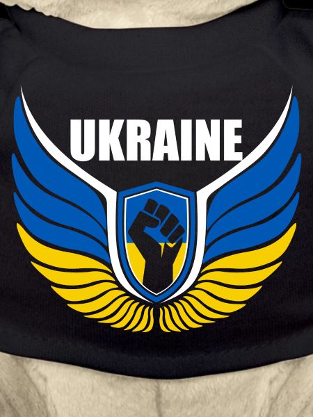Ukraine Logo