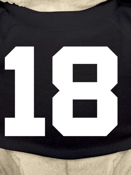 Number 18