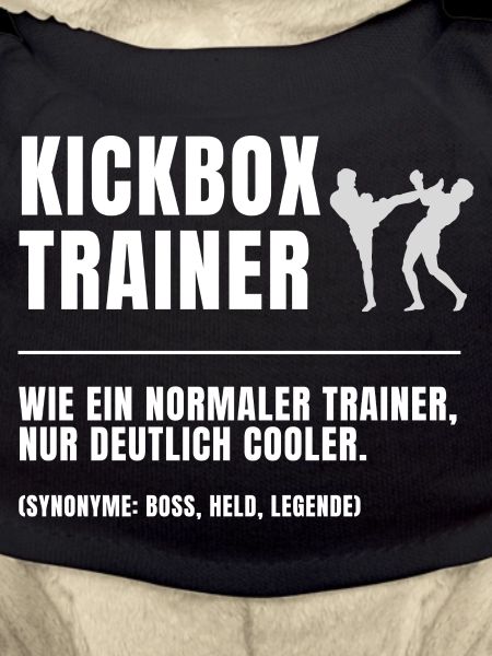 Kickbox Trainer Definition
