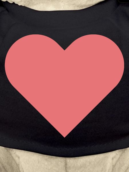 Je t'aime