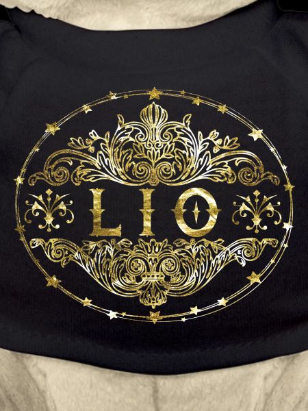 Lio
