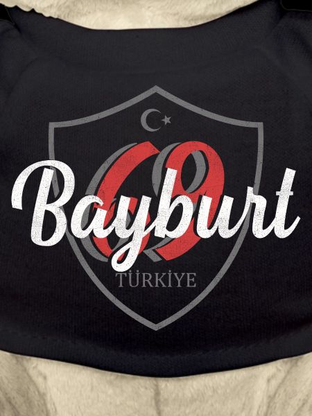 Bayburt