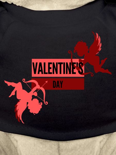 Valentine's day - cupid