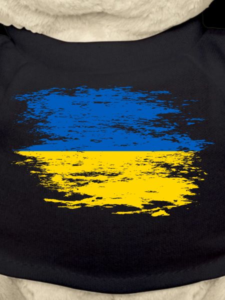 Ukraine Flagge used