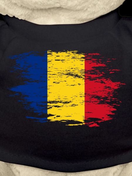 Romania flag used