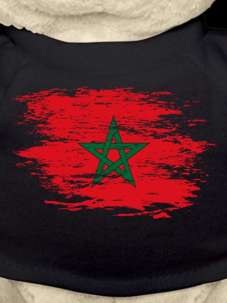 Drapeau du Maroc utilisé