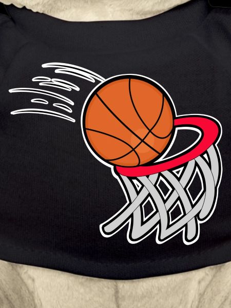 Basketball Basketballer