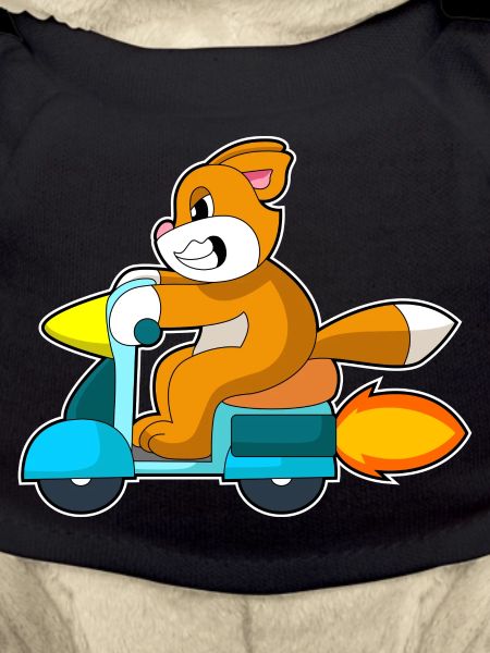 Cat Scooter
