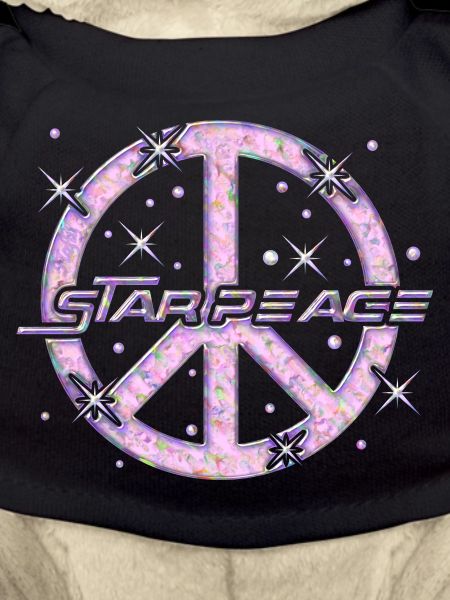 Peace in Space