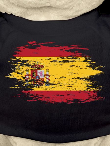 Spain flag used