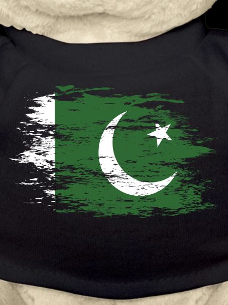 Pakistan flag used