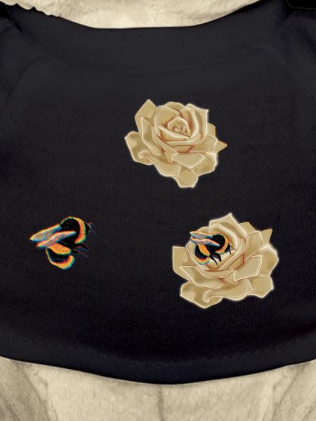 Rose-loving bee