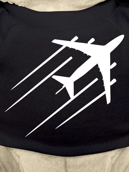 Avion