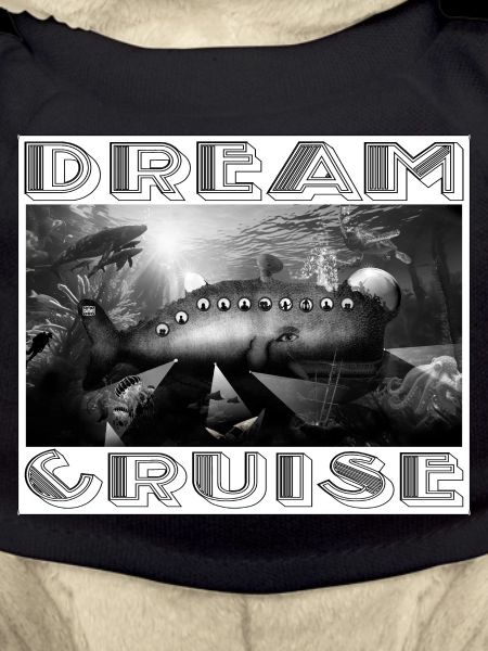 Dream cruise