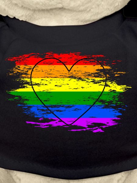 Rainbow Flag Heart Used