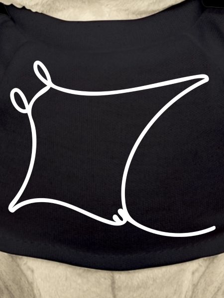 Oceanic Manta - Ray White