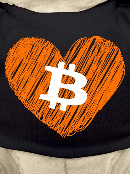Bitcoin Crypto Cryptocurrency Splash