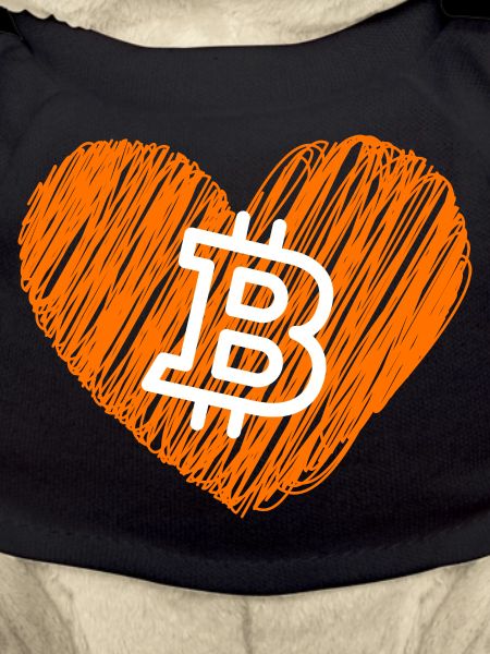Bitcoin Crypto Cryptocurrency Splash