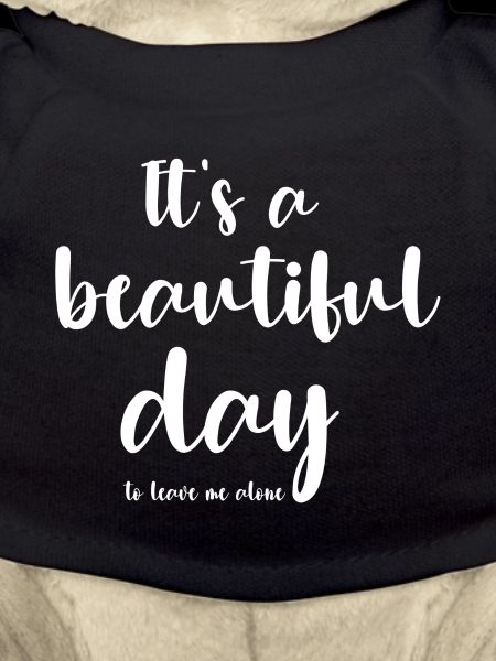 It's a beautiful day