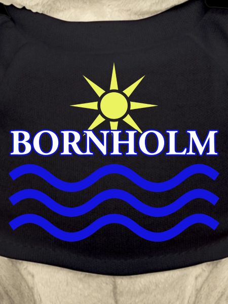 BORNHOLM-Sun Water