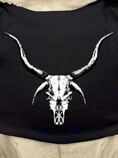 Mysterious Cattle Skull