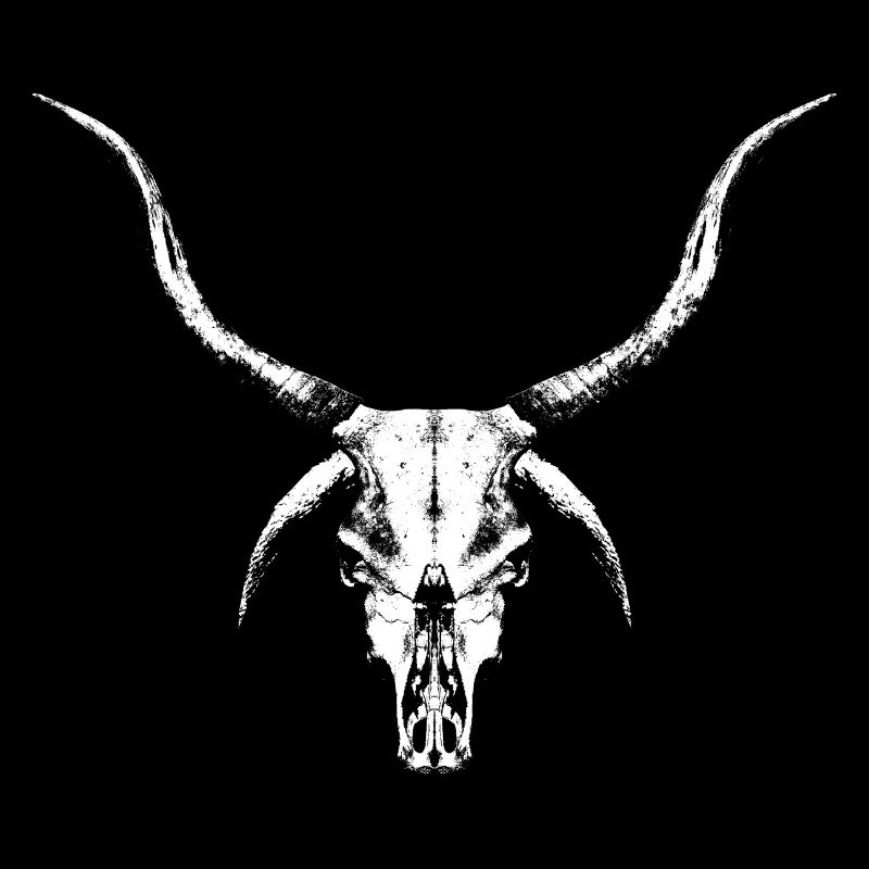 Mysterious Cattle Skull