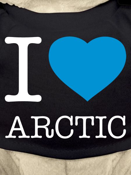 I LOVE ARCTIC