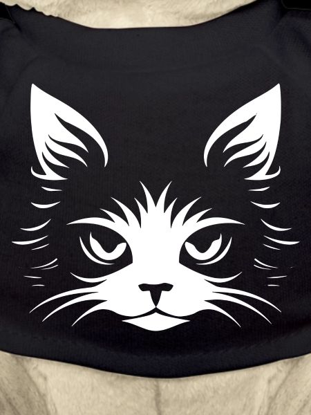 Chat, Motif De Chat
