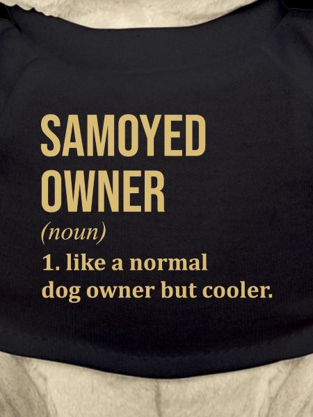 Samoyed Samoyed Samoyed