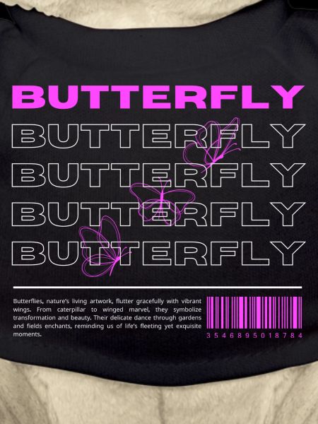 Definition of Butterfly